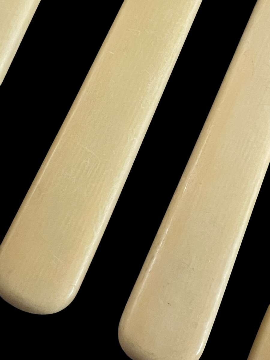 Knives bone  handled(3)