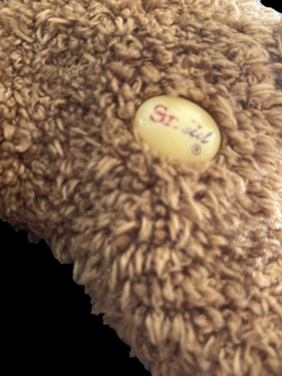 Teddy bear Sunkid beanbag style(Nr12)