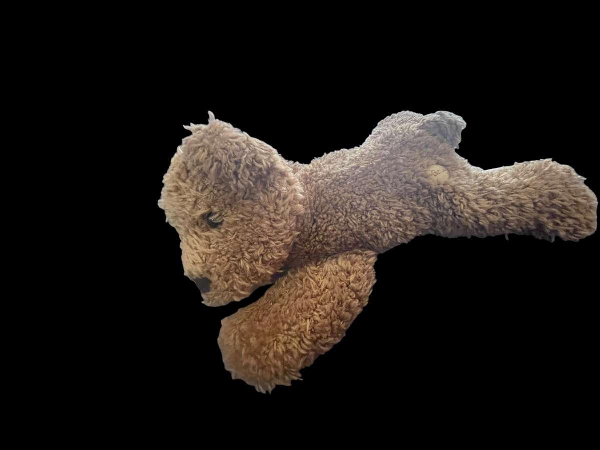 Teddy bear Sunkid beanbag style(Nr12)