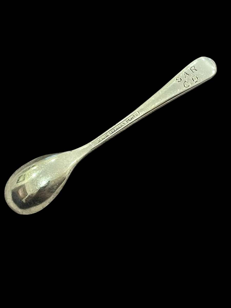 Mustard/salt spoon(NR15)