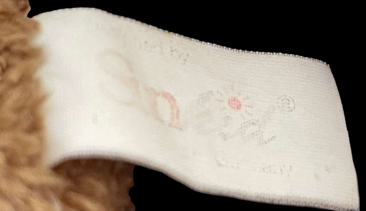 Teddy bear Sunkid beanbag style(Nr12)