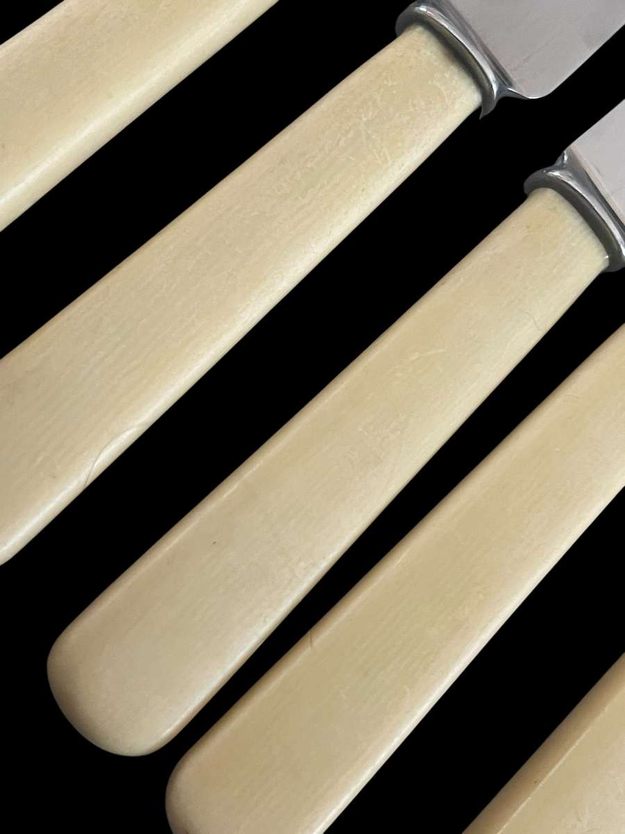 Knives bone  handled(3)