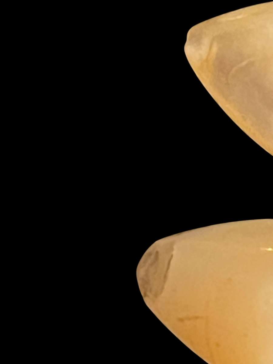 Forks knives mother of pearl set