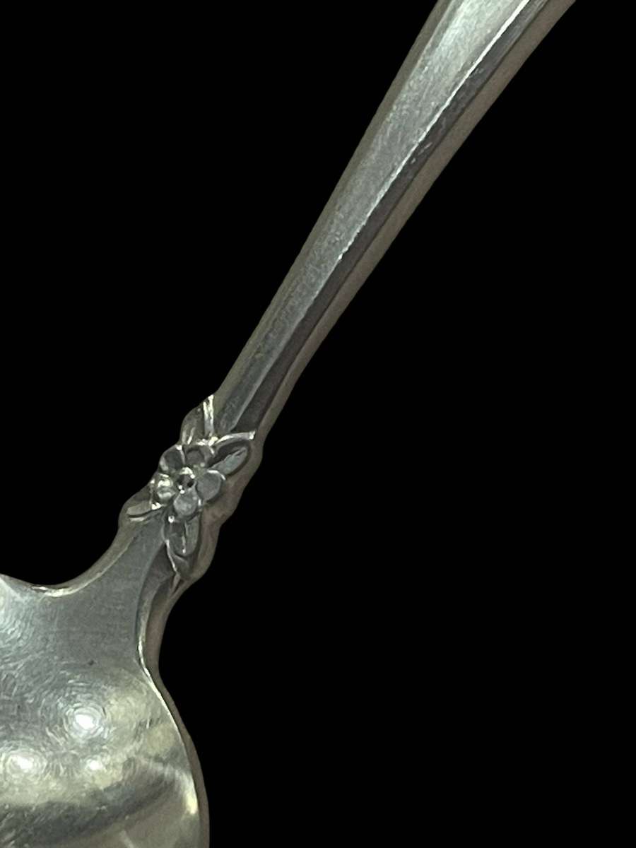 Gravy ladle Eetrite Elite(NR48)