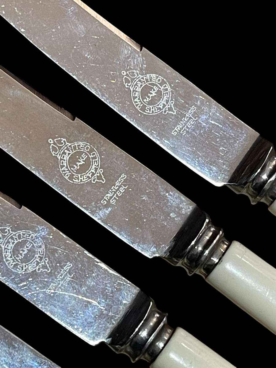 Forks knives bone handled canteen