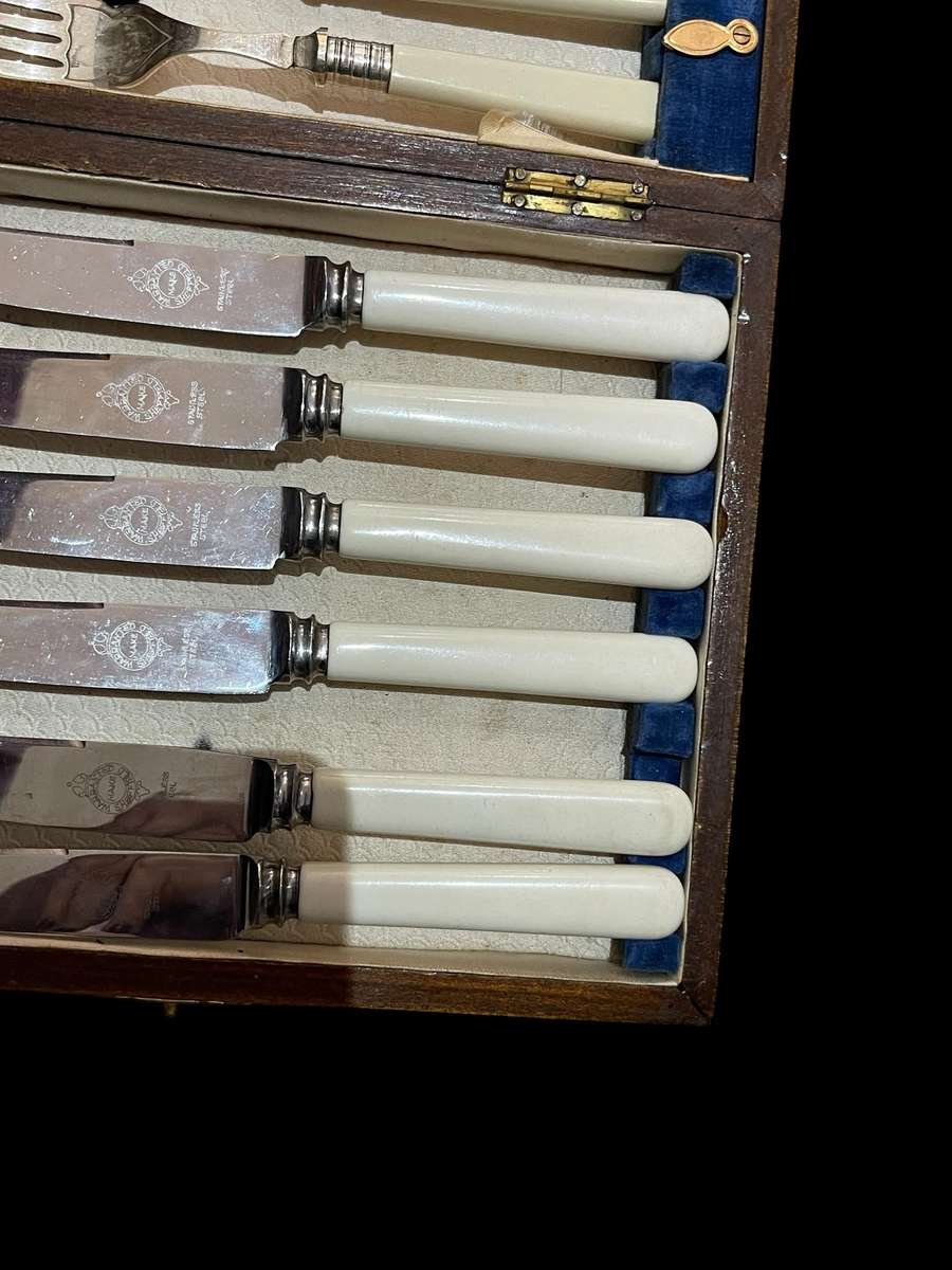 Forks knives bone handled canteen