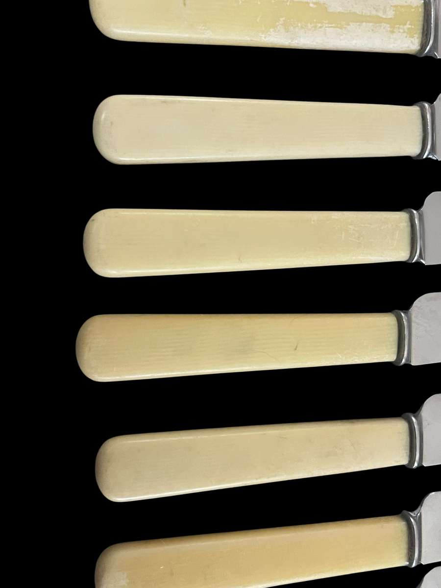 Knives bone handled(5)