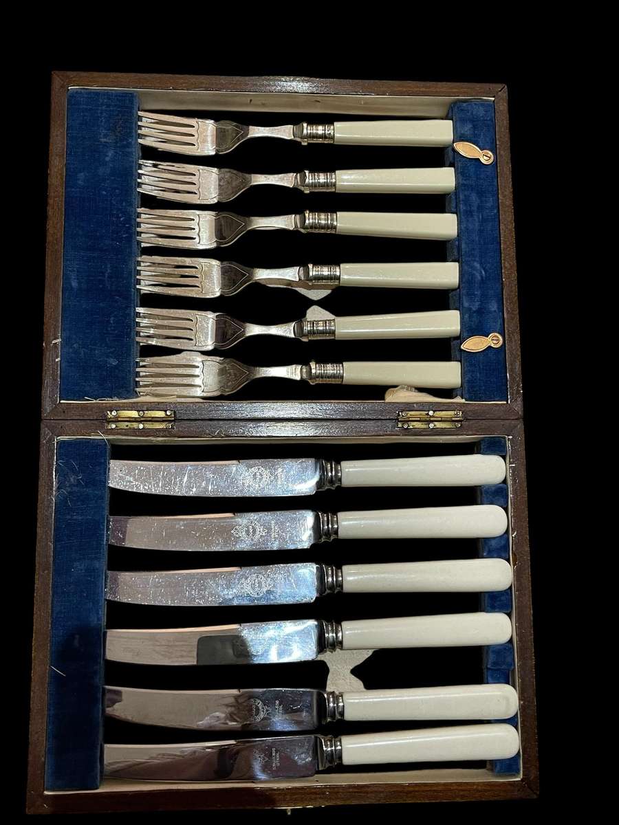 Forks knives bone handled canteen