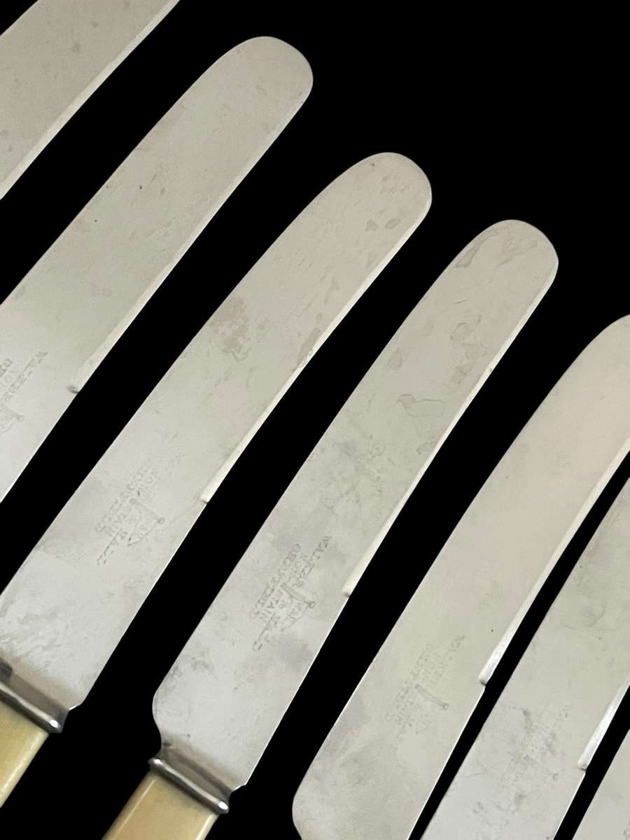 Knives bone handled(5)