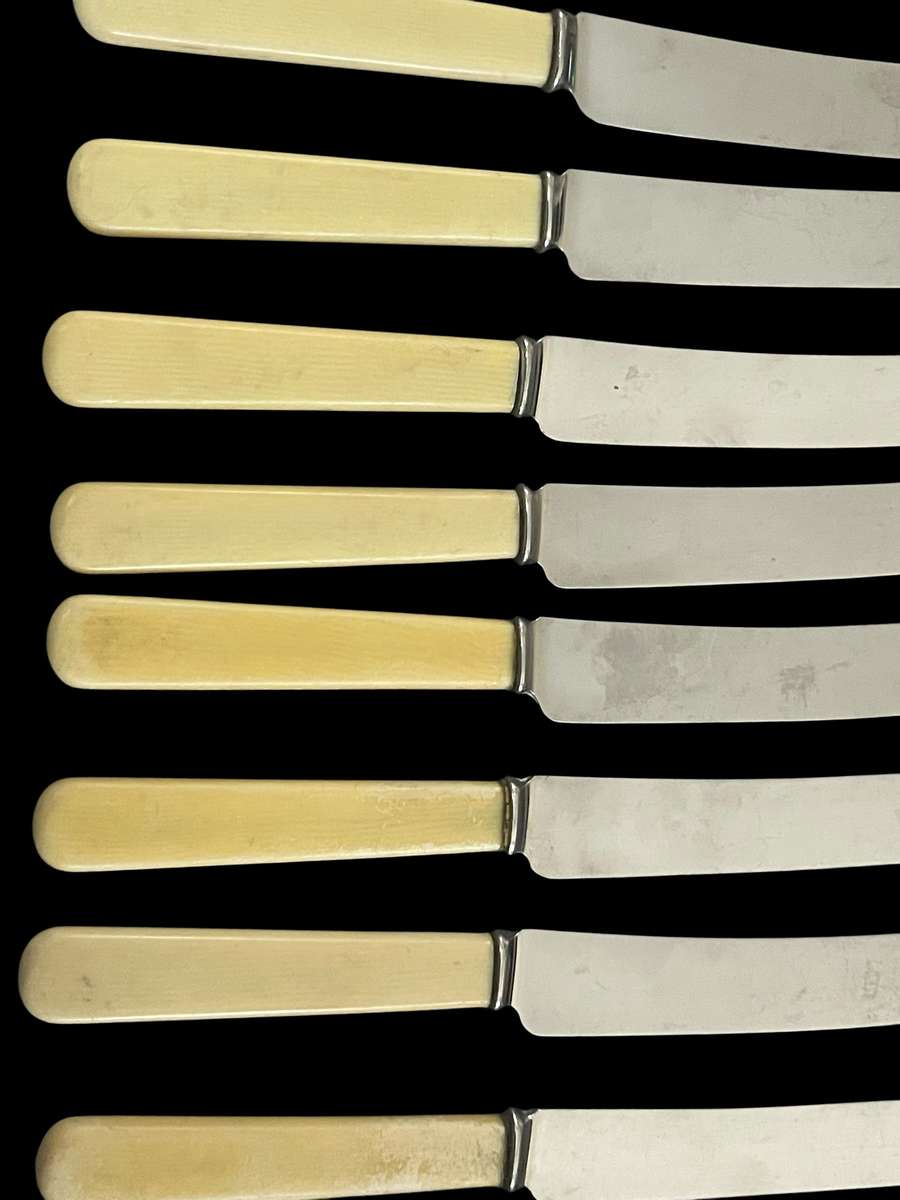 Knives bone handled(5)