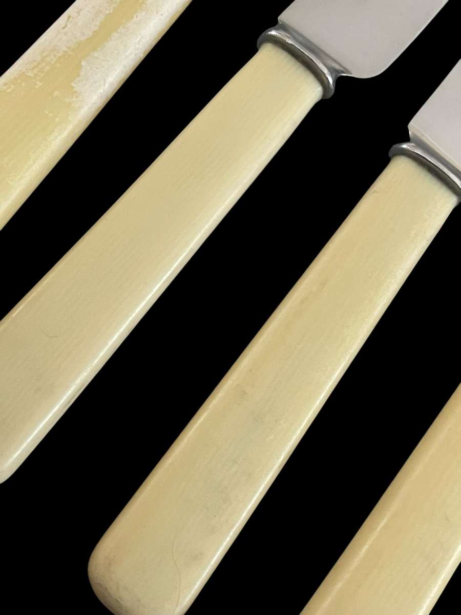 Knives bone handled(5)