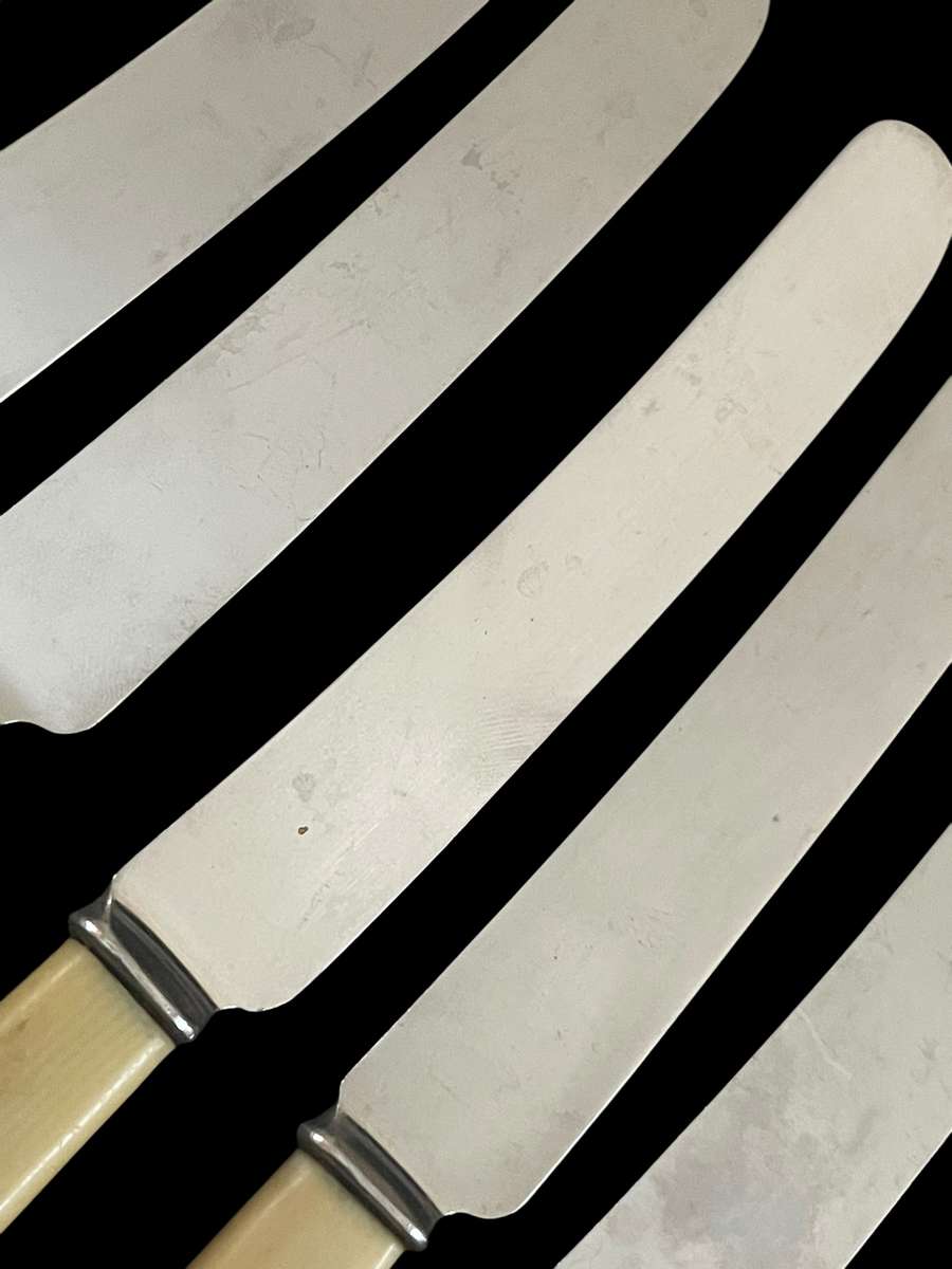 Knives bone handled(5)