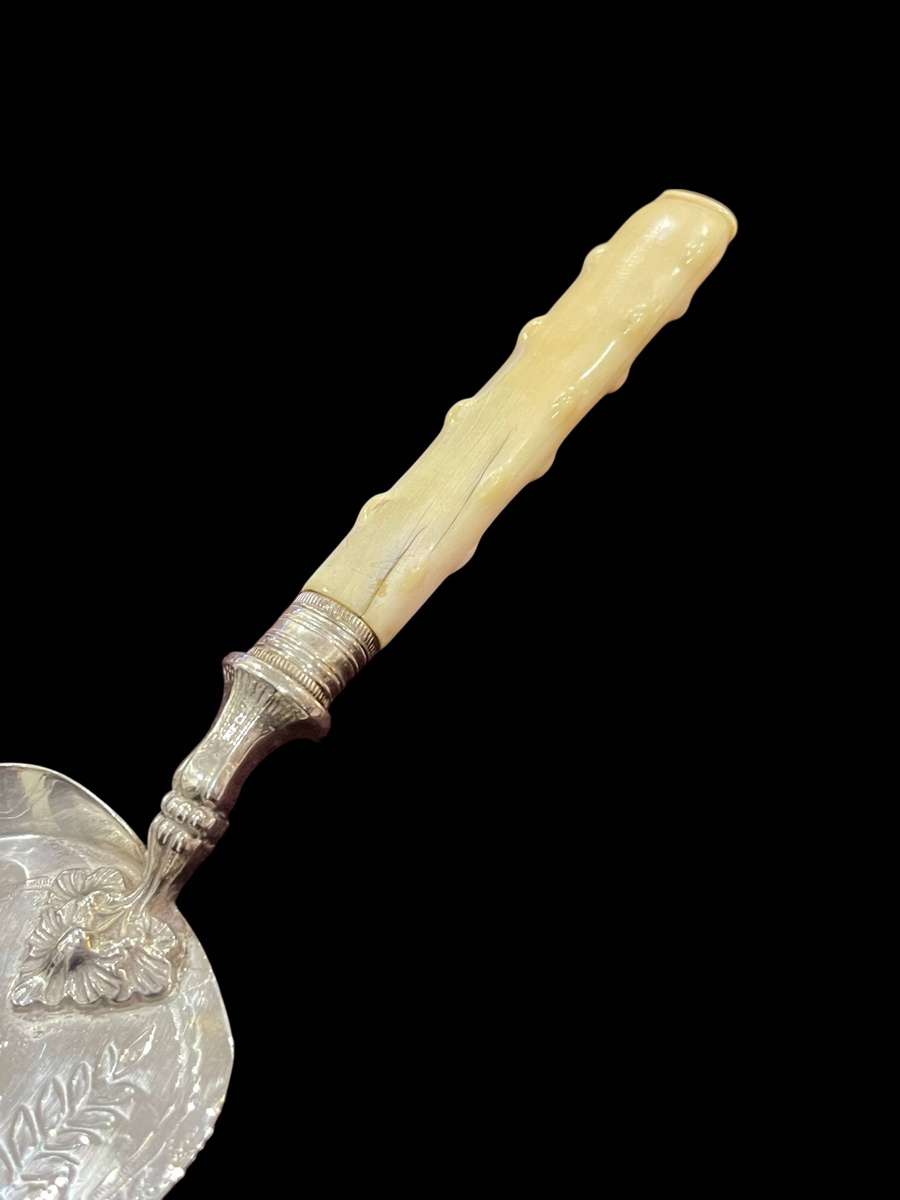 Butlers scoop/food lift