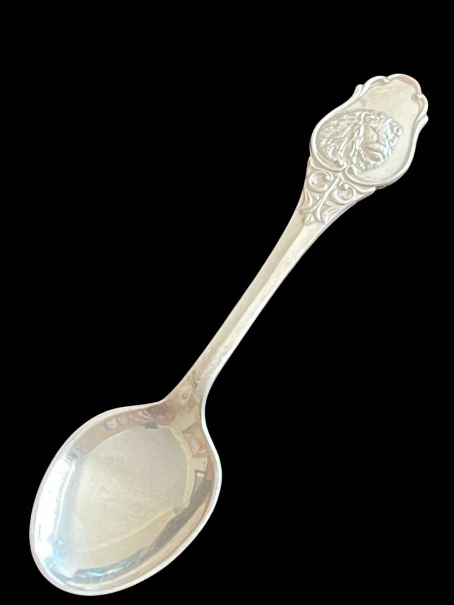 Teaspoon Kruger Park(NR7)