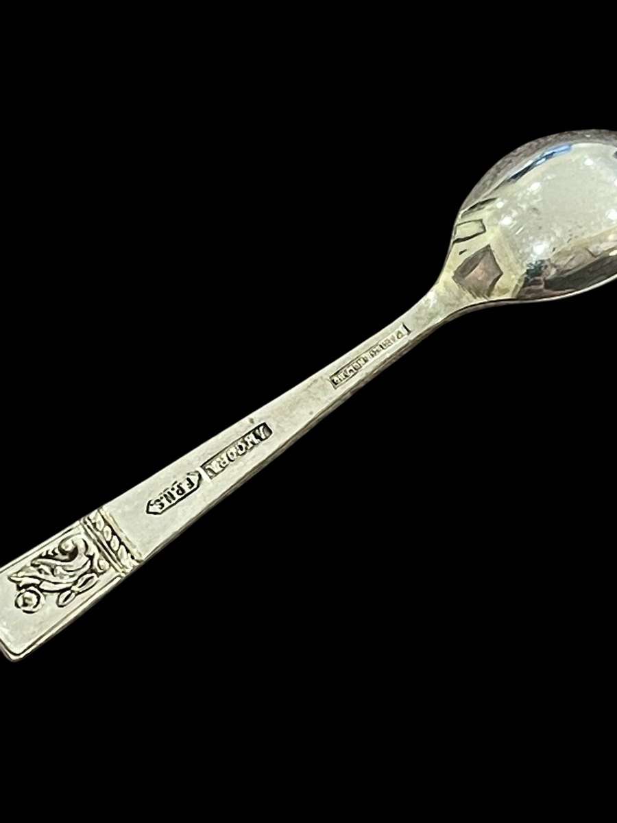 Mustard/salt spoon(NR17)