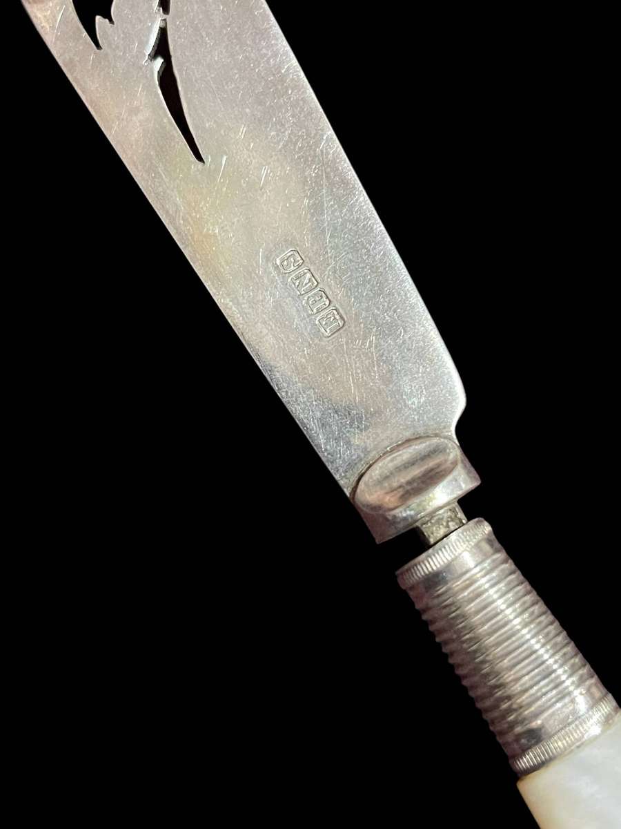 Butter/pate knife mother of pearl(NR33)