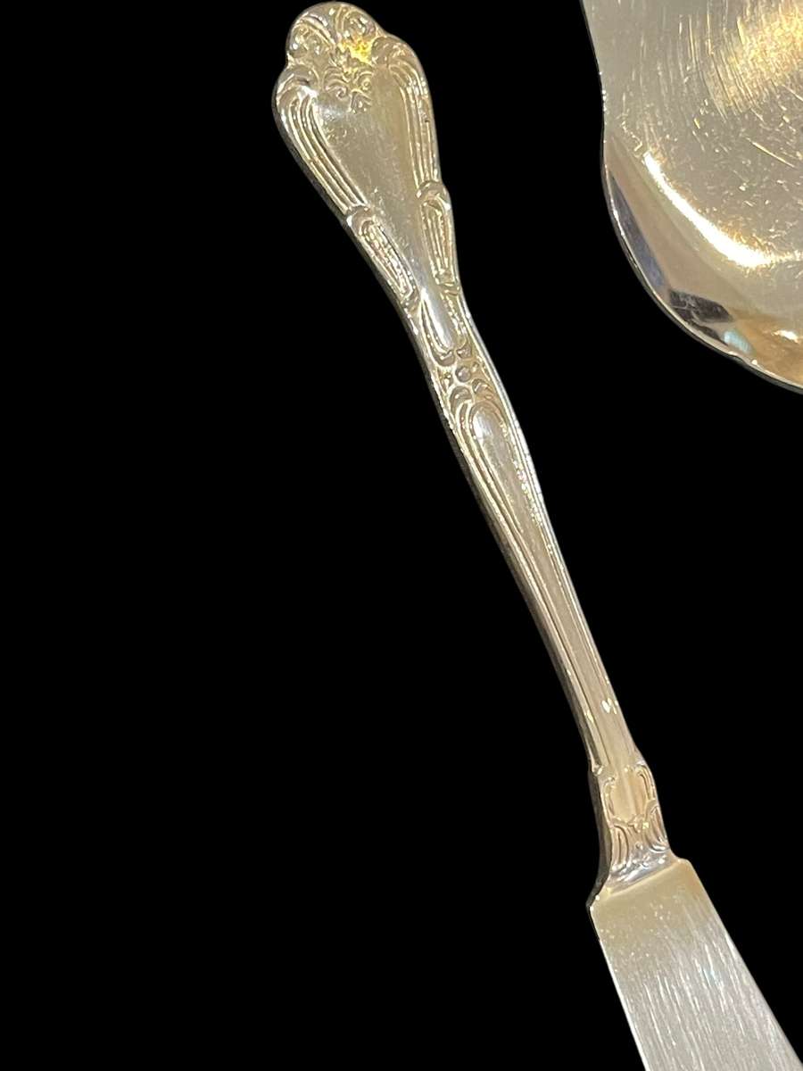 Cake lift butter knife Eetrite