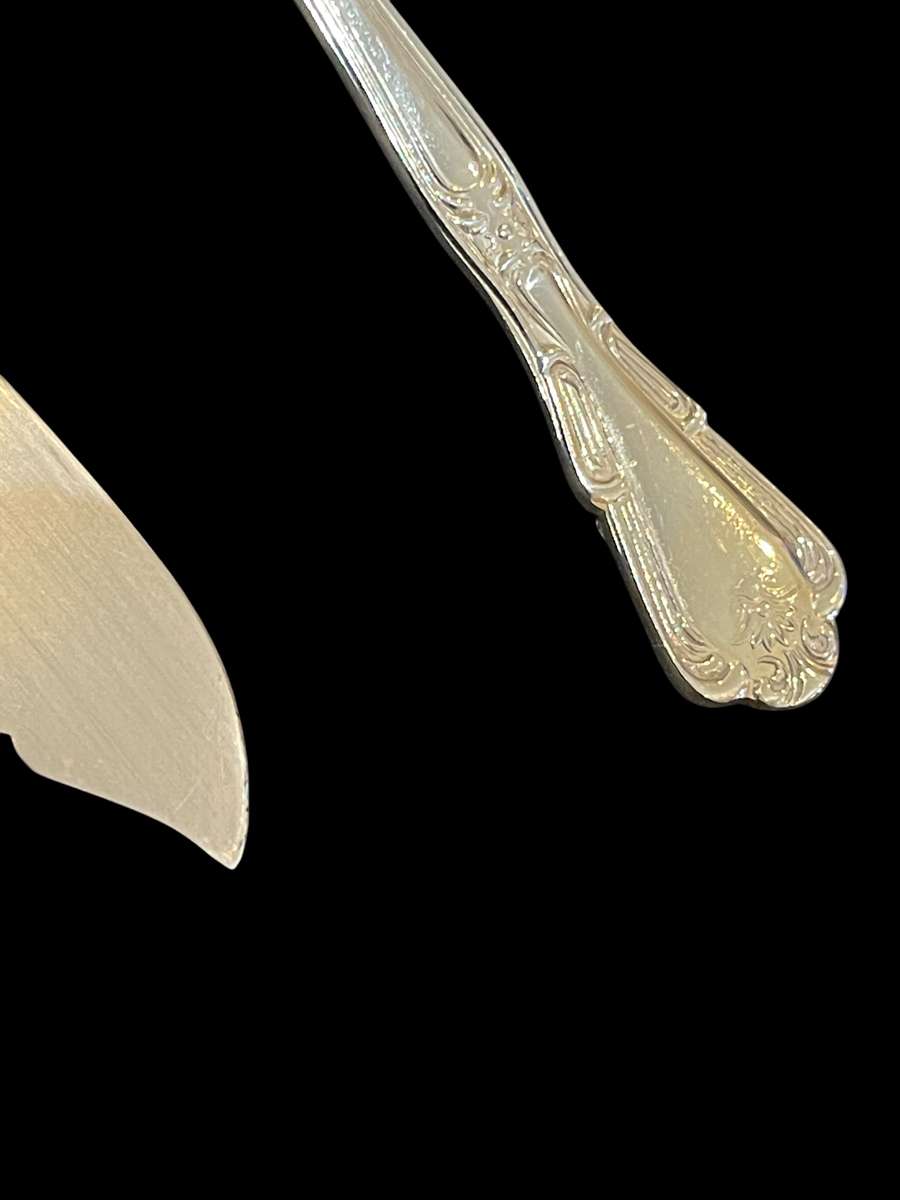 Cake lift butter knife Eetrite