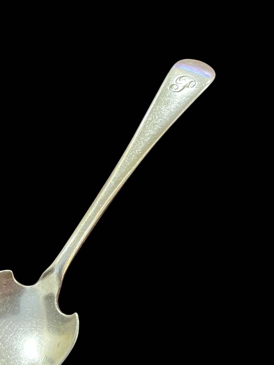 Jam/sugar spoon(NR22)