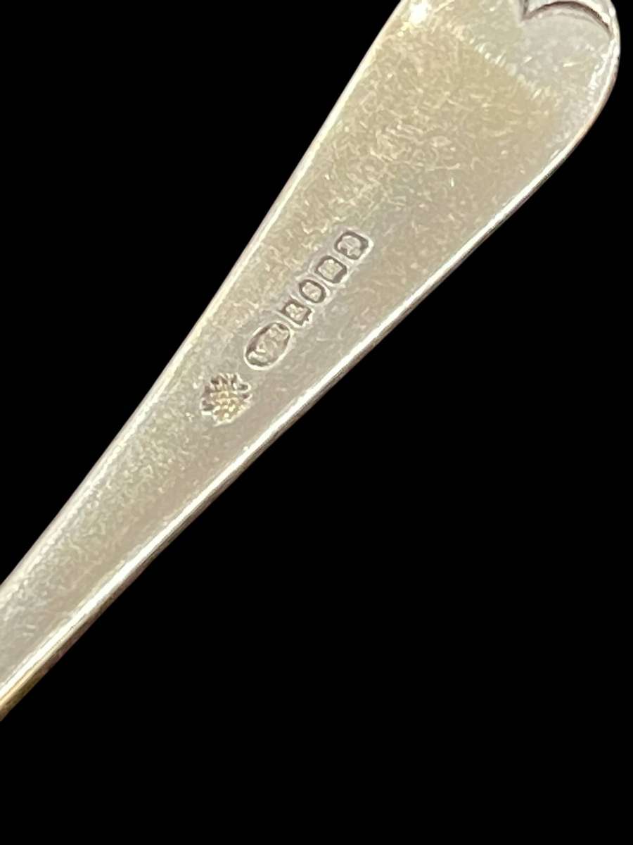 Jam/sugar spoon(NR22)