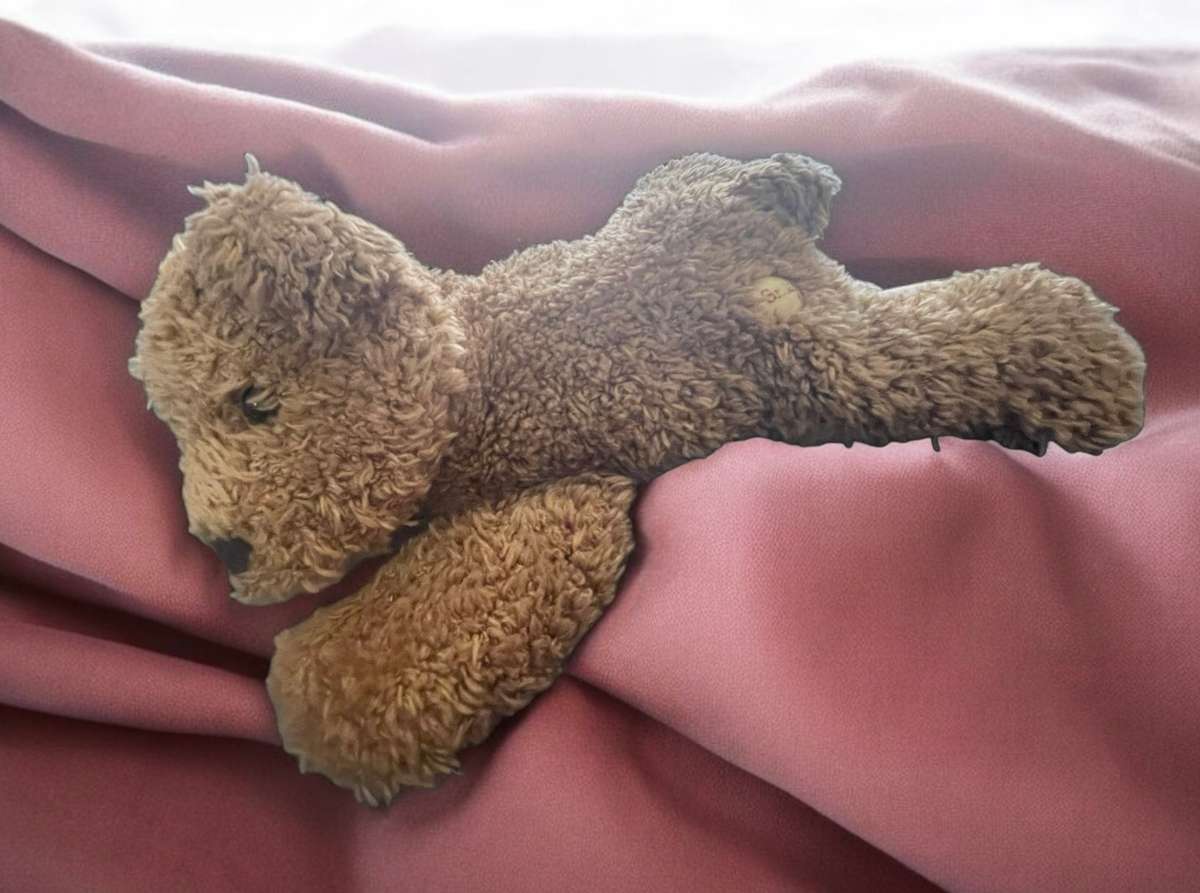 Teddy bear Sunkid beanbag style(Nr12)