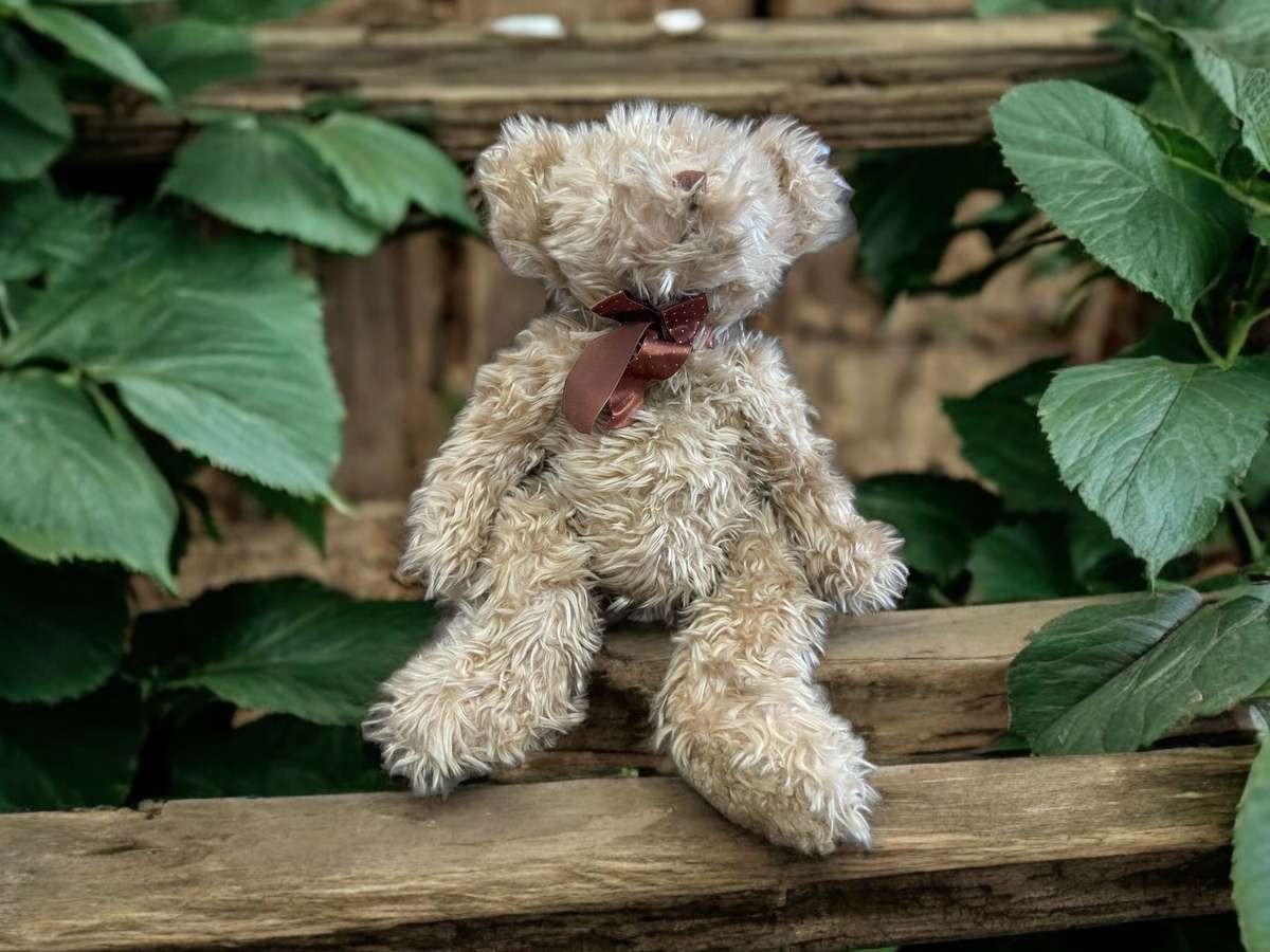 Teddy bear Russ Radcliffe