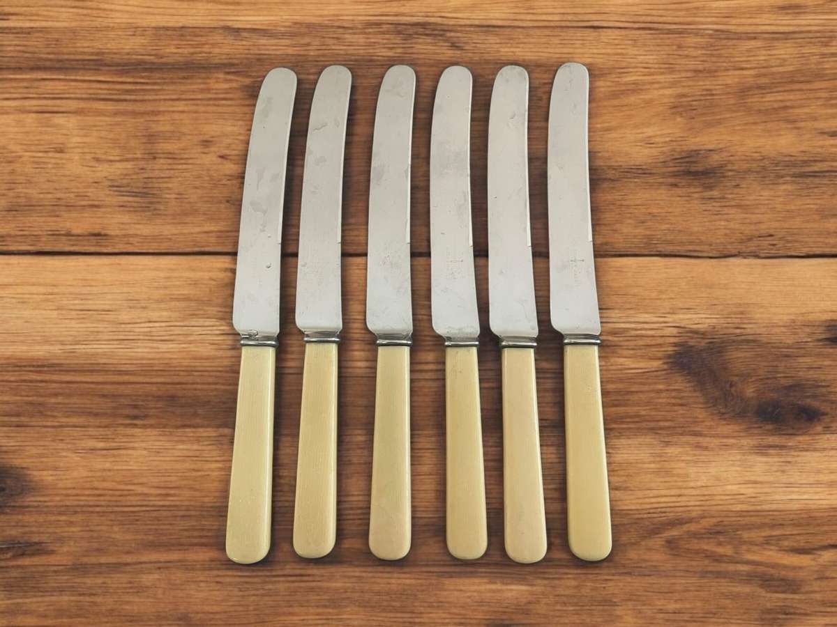 Knives bone  handled(3)