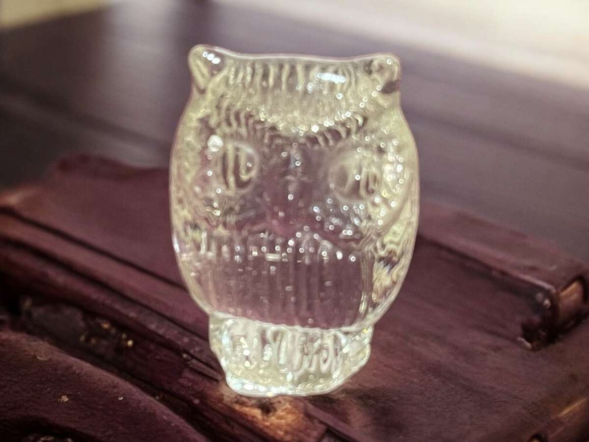 Ornament owl glass