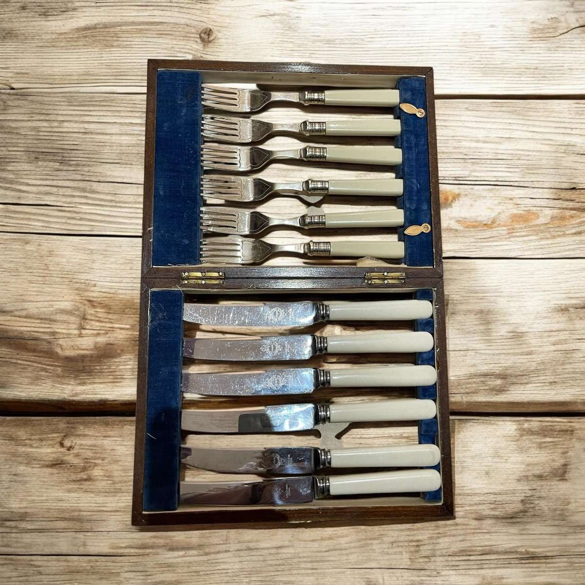 Forks knives bone handled canteen