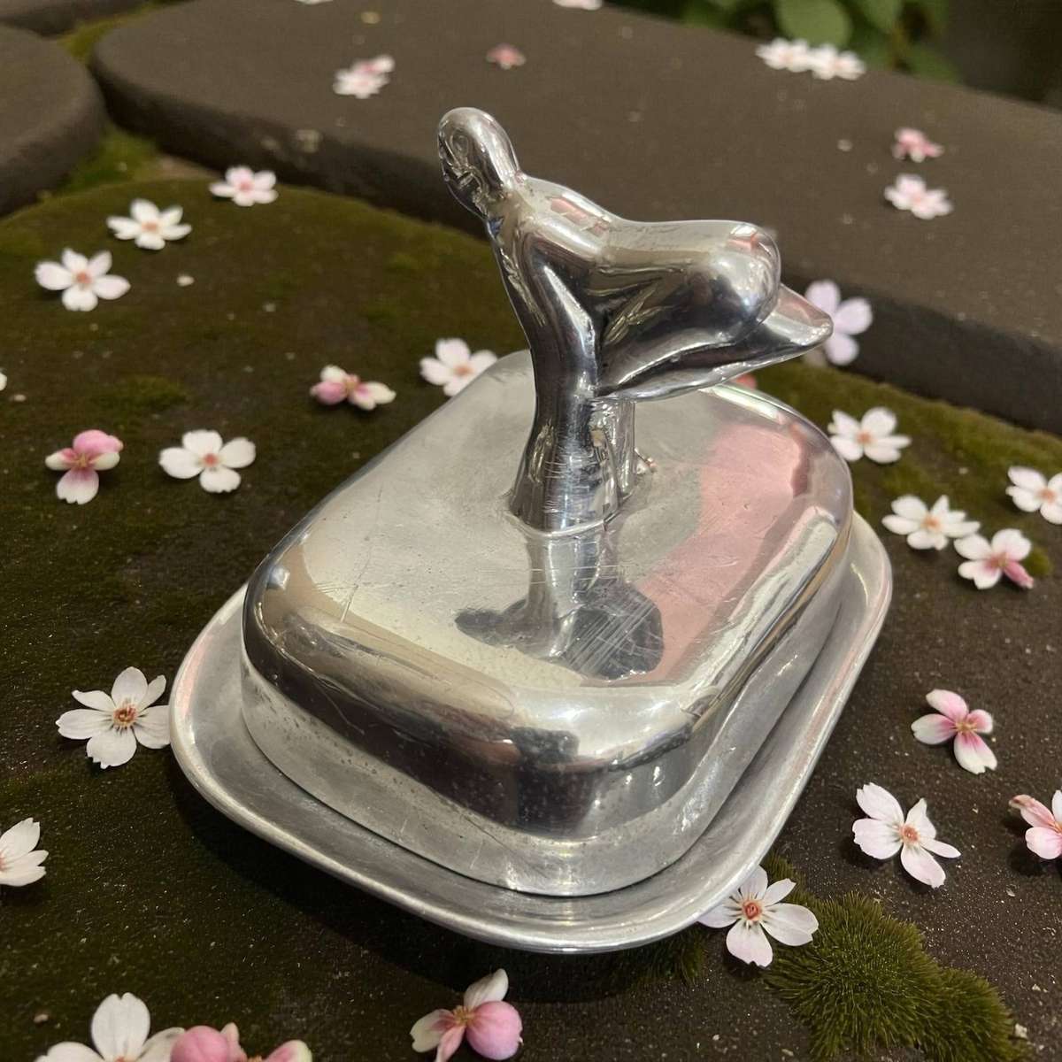 Butter dish Carrol Boyes