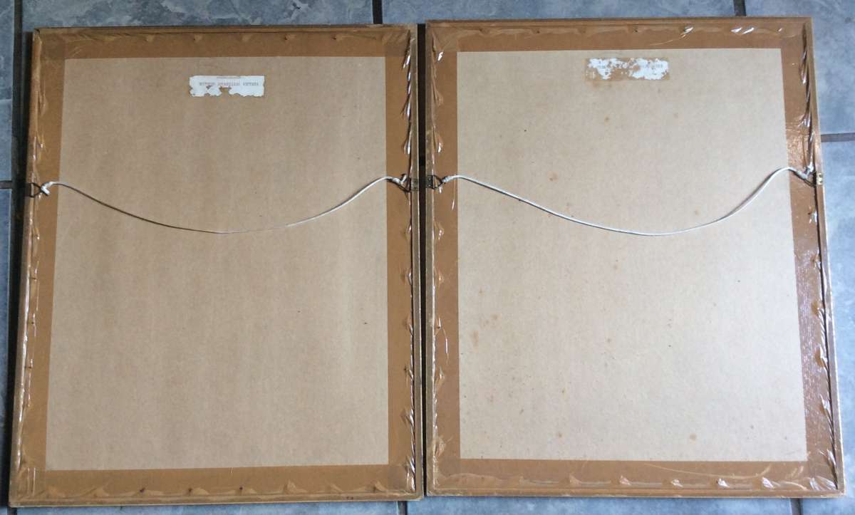 Set of Two Botanic Paintings - Framed behind Glass