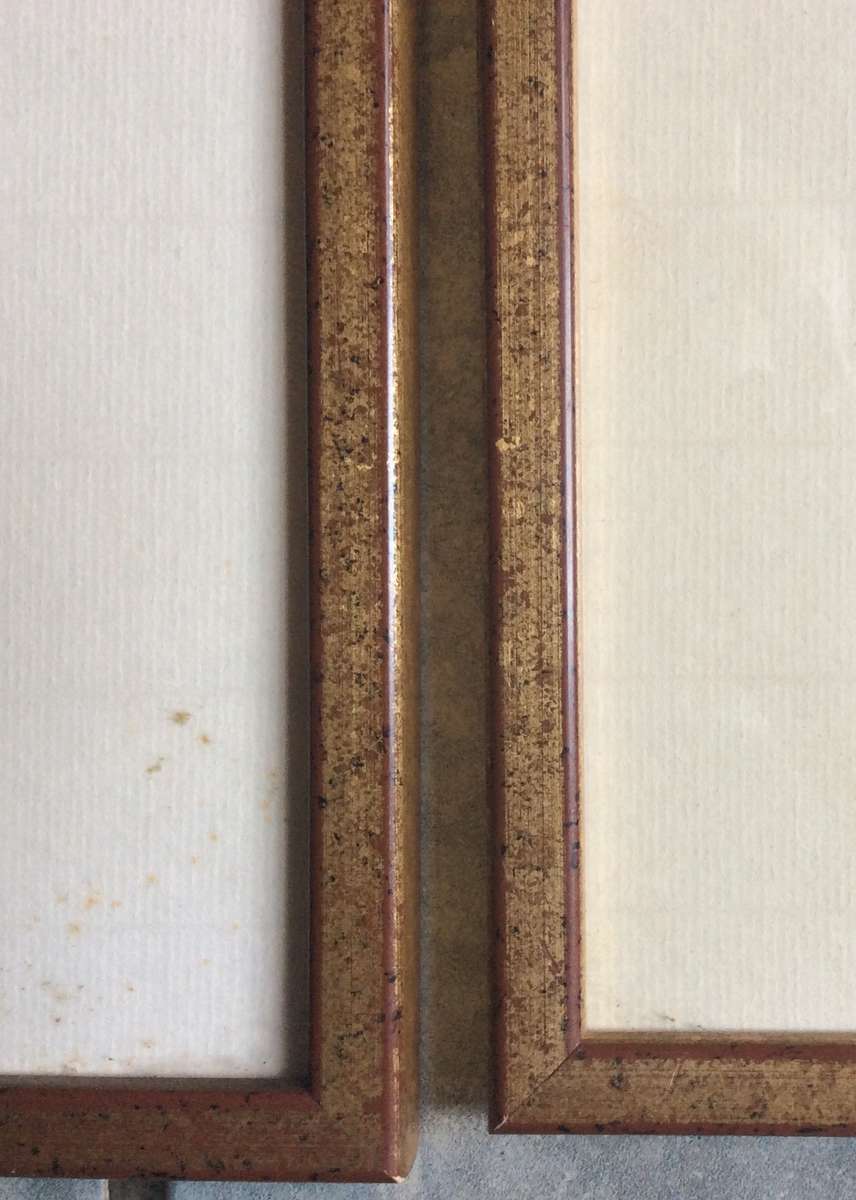 Set of Two Botanic Paintings - Framed behind Glass