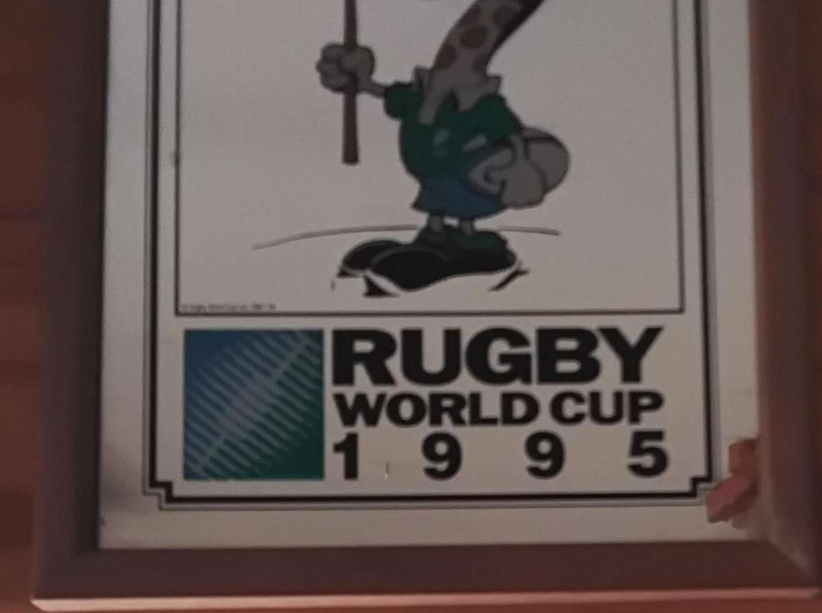 Framed Bar Mirror Commemorating the 1995 Rugby World Cup