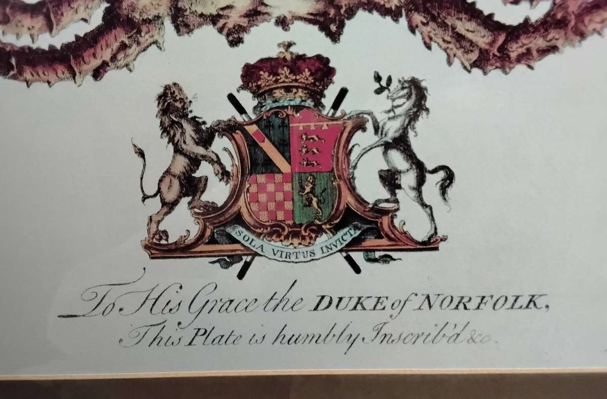 Framed Illustration Plate Print - A Natural History of Barbados