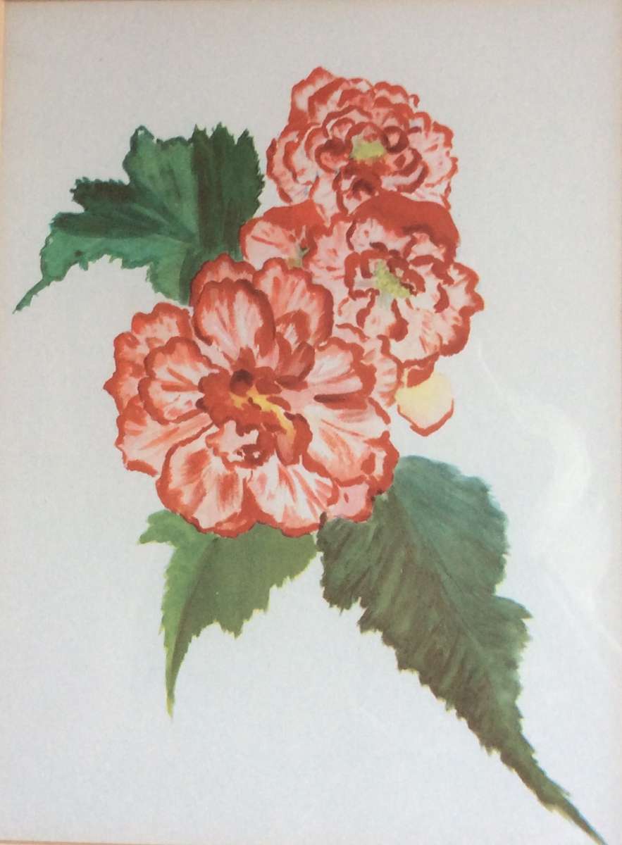 Set of Two Botanic Paintings - Framed behind Glass