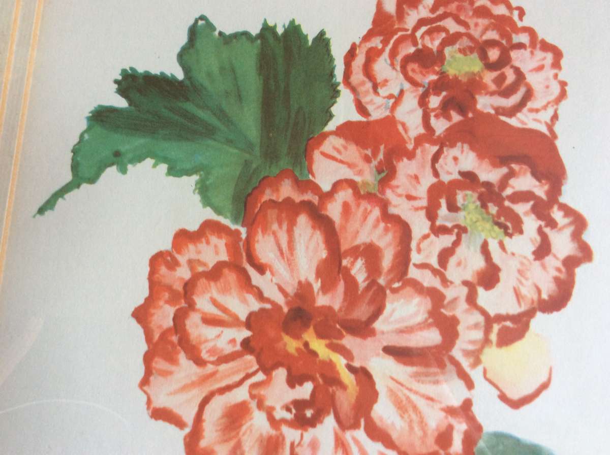 Set of Two Botanic Paintings - Framed behind Glass