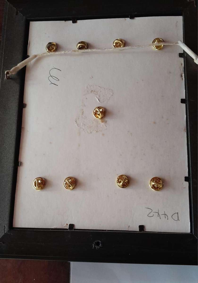 Coca-Cola Olympic Games Commemorative Lapel  Pins - Framed