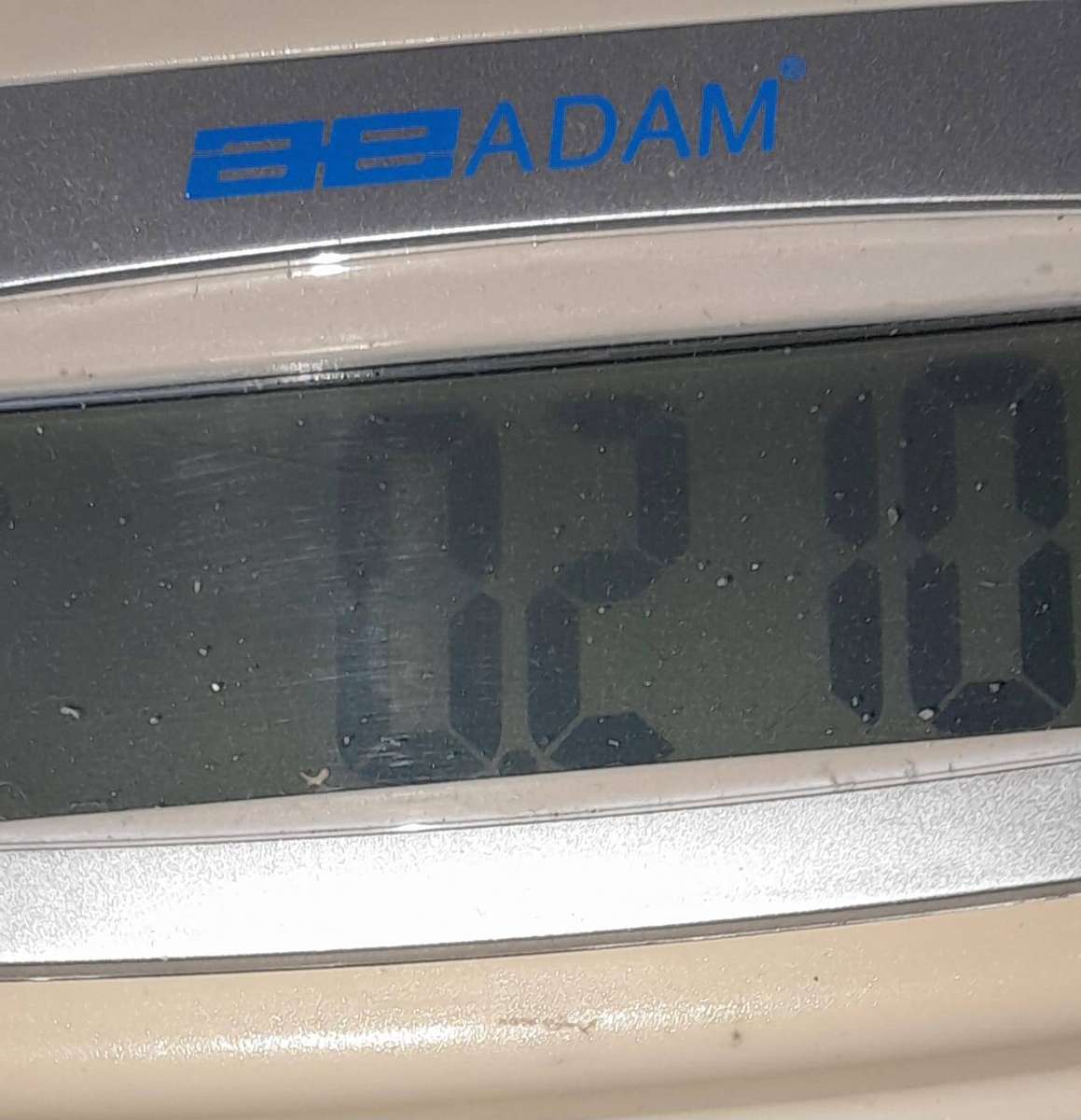 Sandstone, Serpentine and Fossilized Rock Specimens