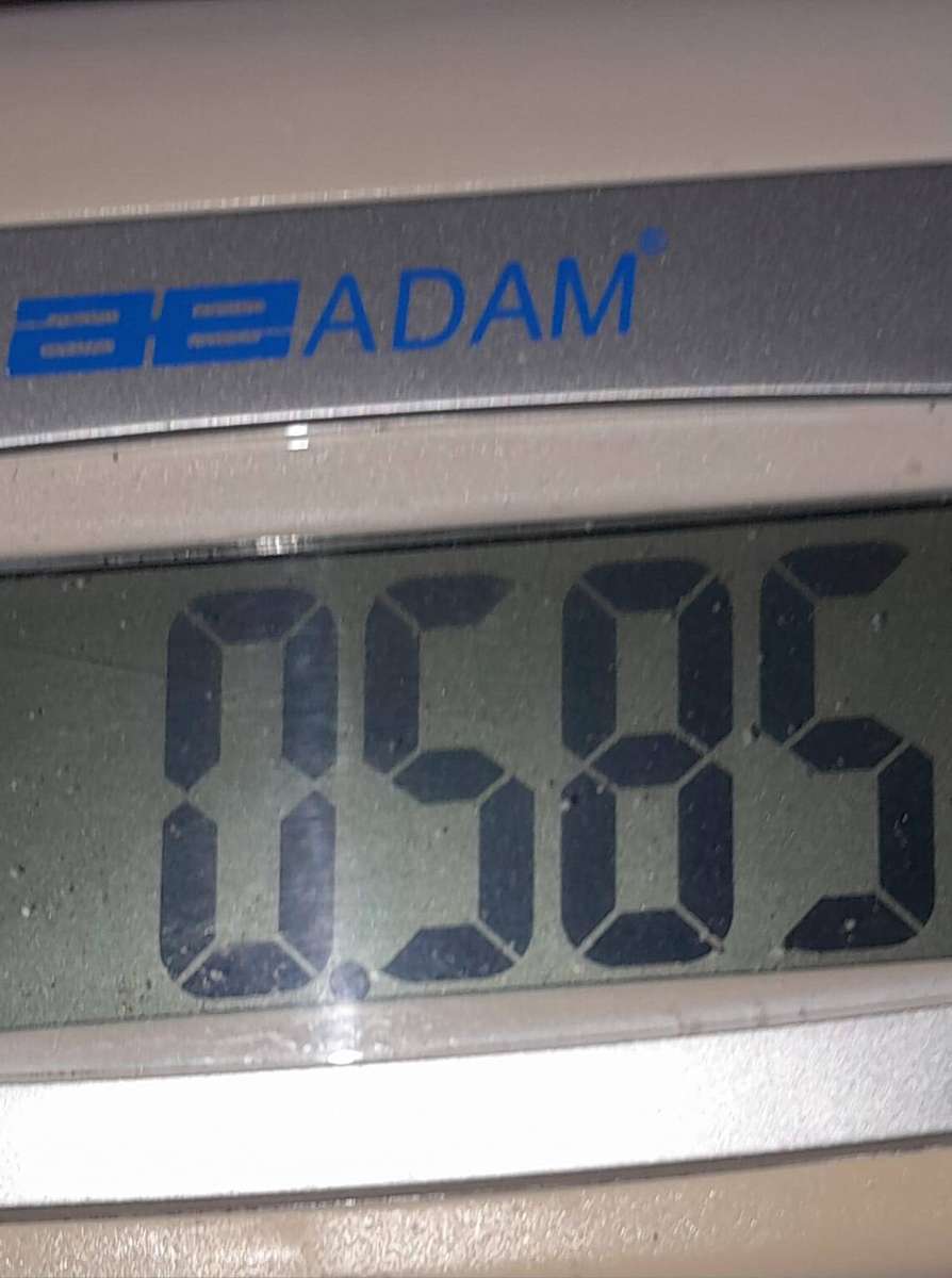 Sandstone, Serpentine and Fossilized Rock Specimens