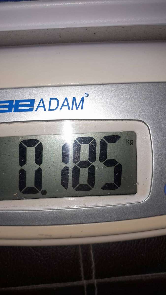 Sandstone, Serpentine and Fossilized Rock Specimens