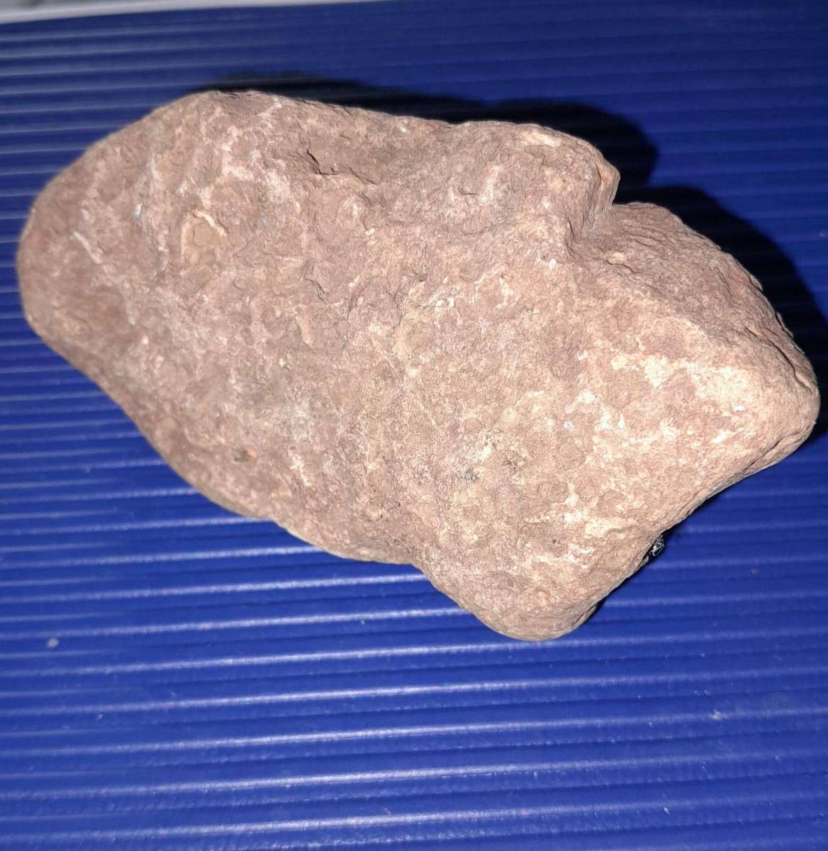 Sandstone, Serpentine and Fossilized Rock Specimens