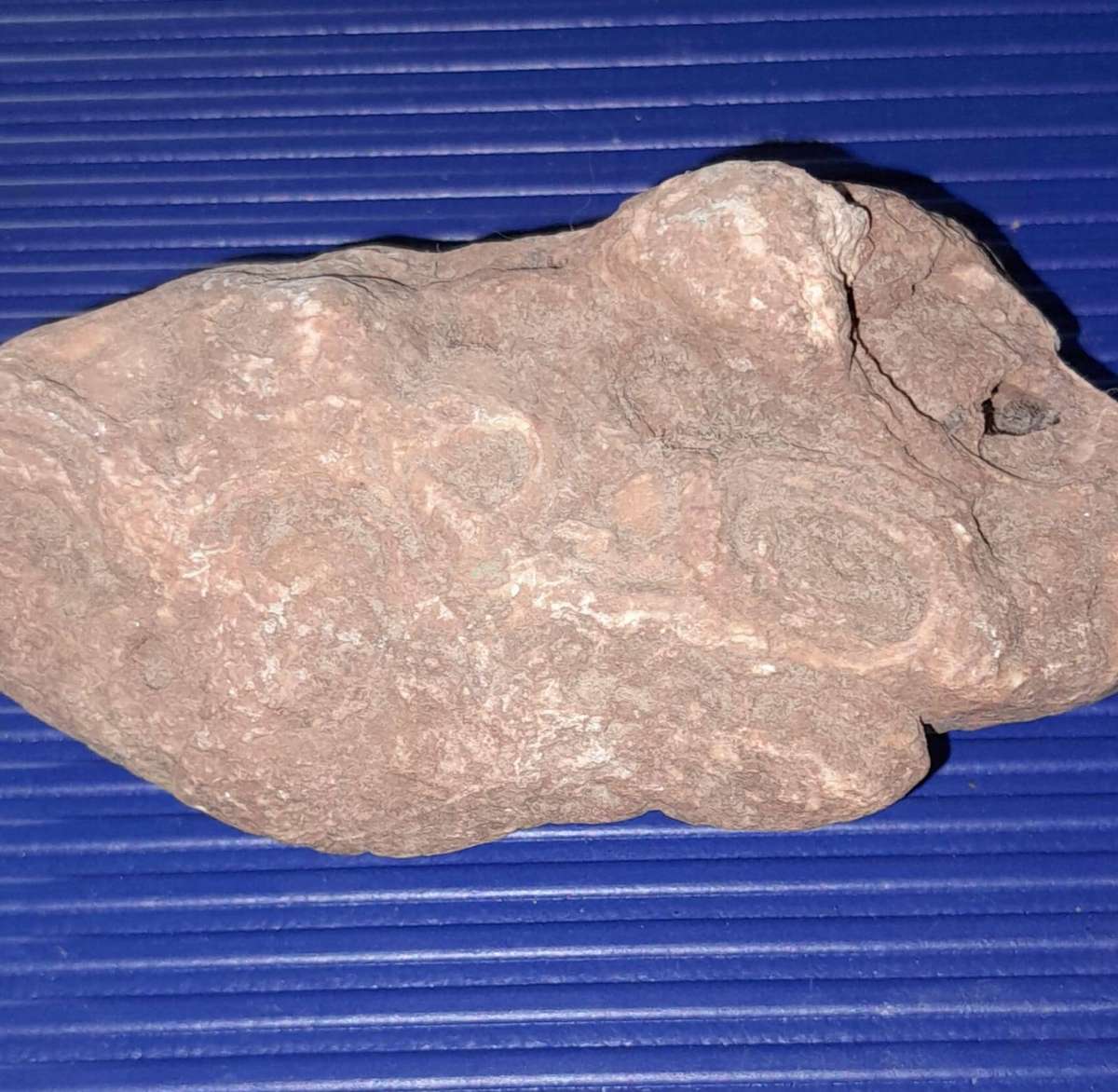 Sandstone, Serpentine and Fossilized Rock Specimens