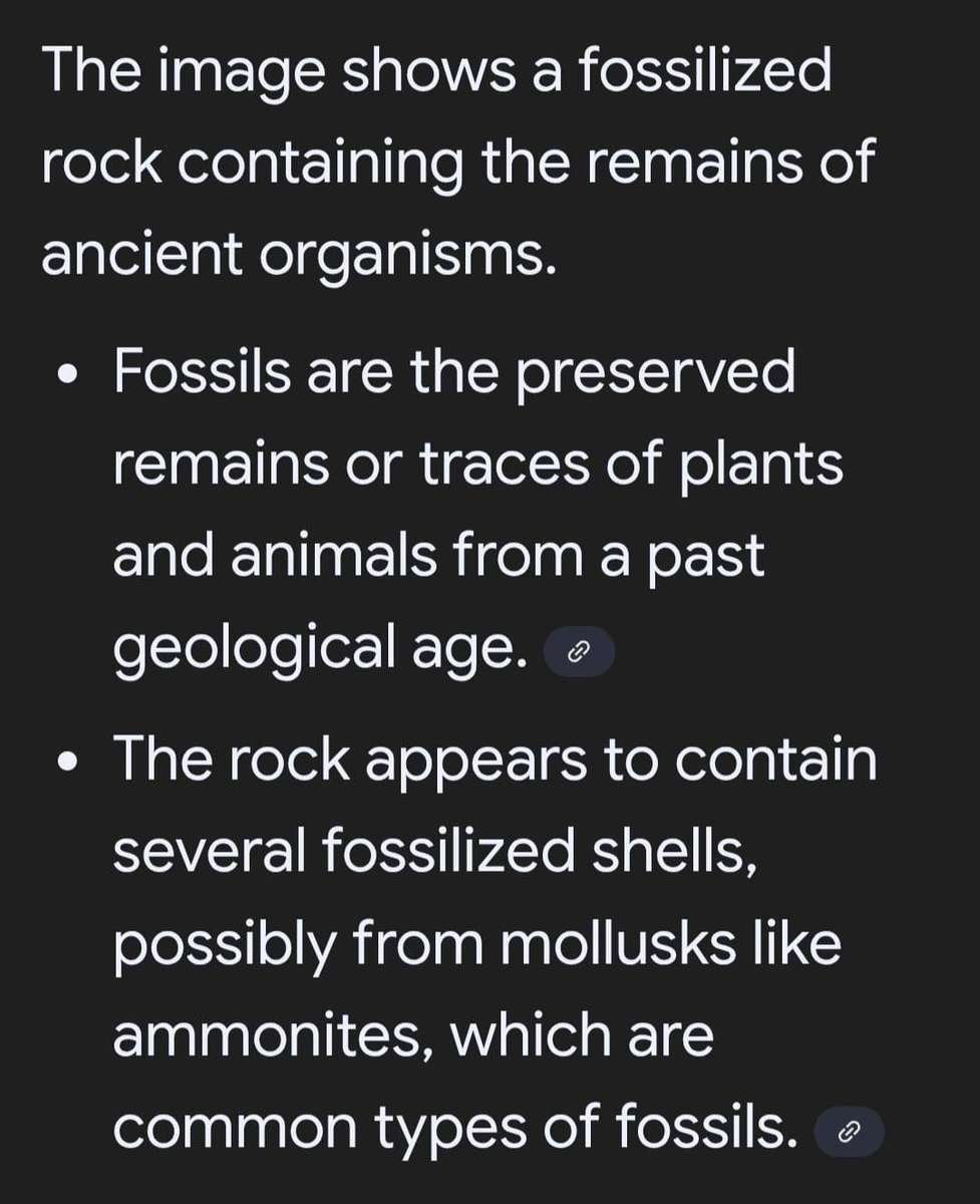 Sandstone, Serpentine and Fossilized Rock Specimens