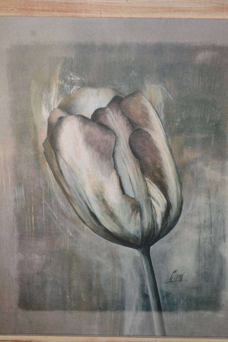 Tulip Print Framed Behind Glass