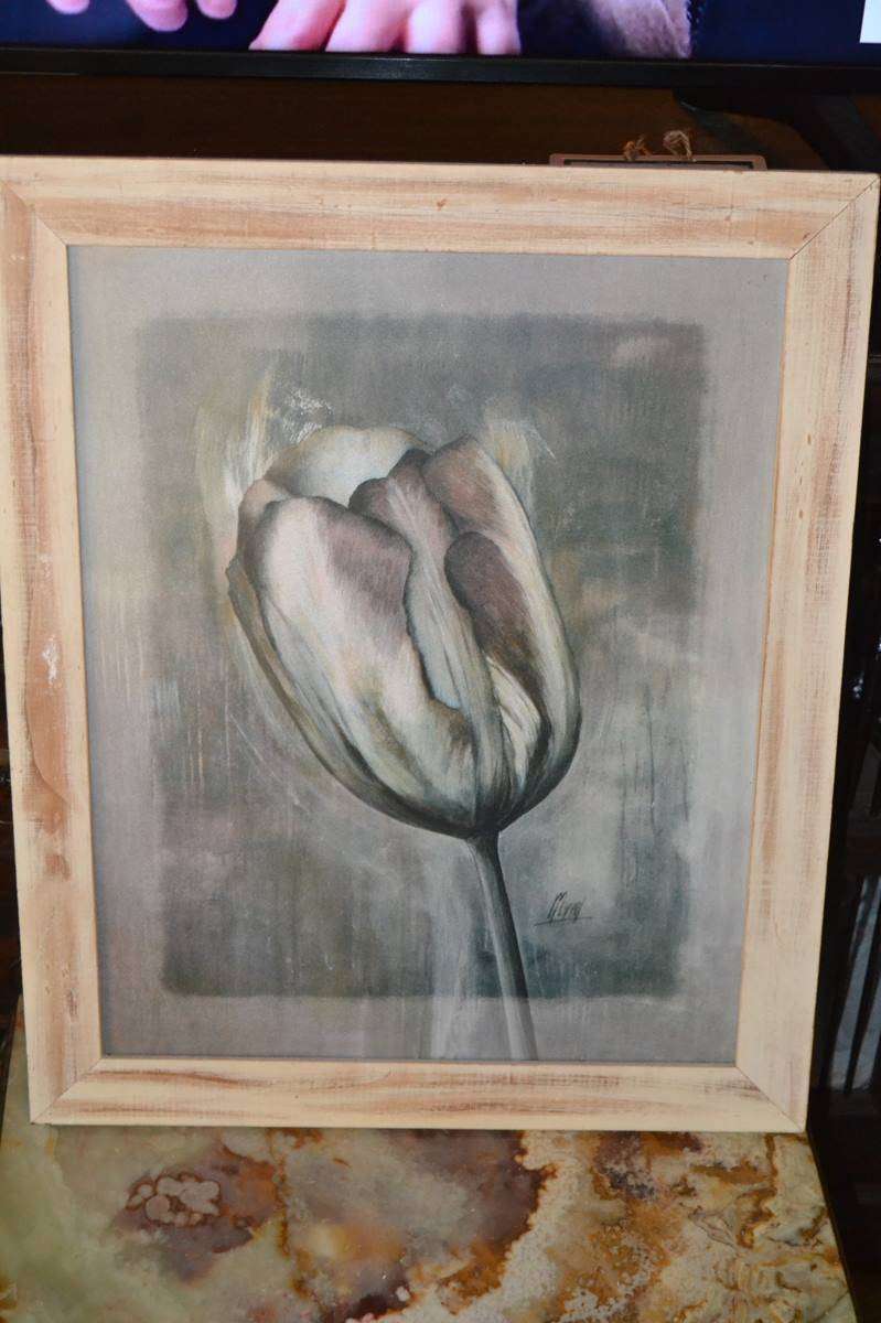 Tulip Print Framed Behind Glass