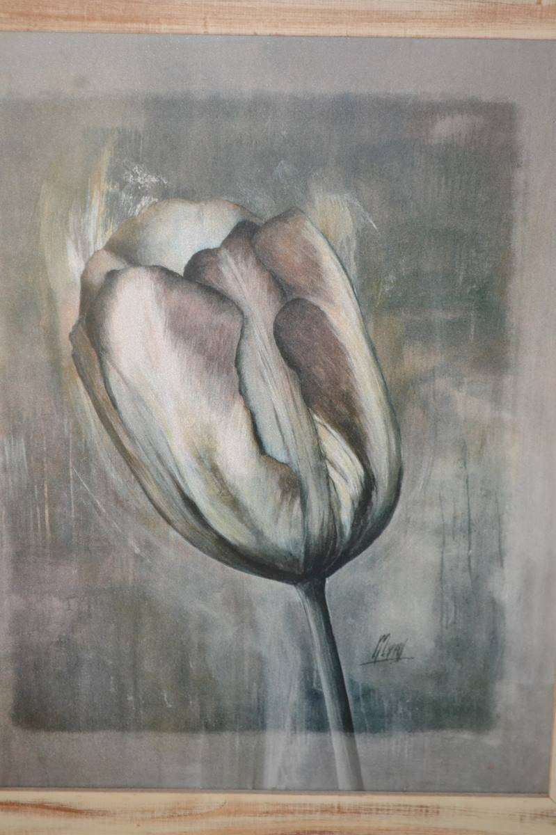 Tulip Print Framed Behind Glass