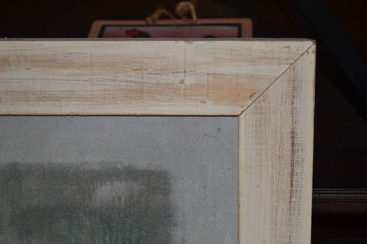 Tulip Print Framed Behind Glass