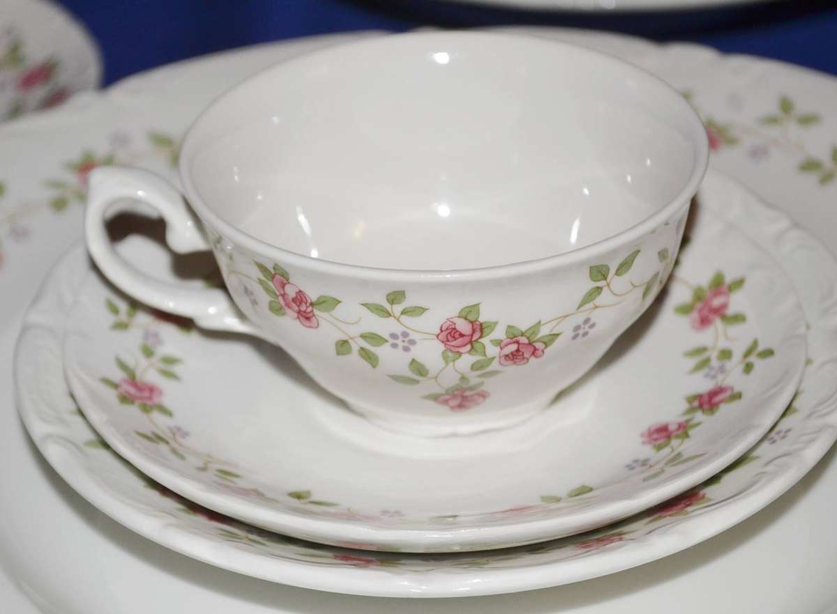 Pontessa Ironstone Spain - Part Dinner Service  49 Pieces 1970s