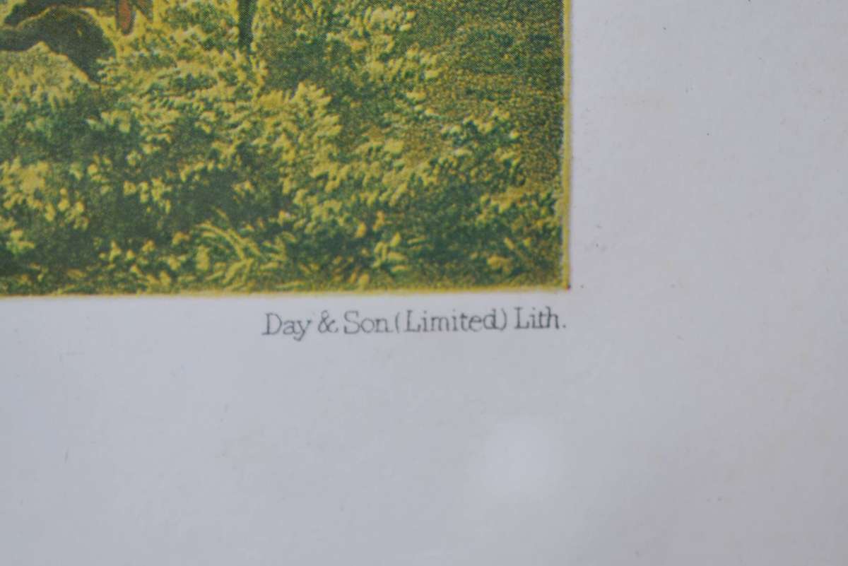 Thomas Baines "The Falls By Sunrise"