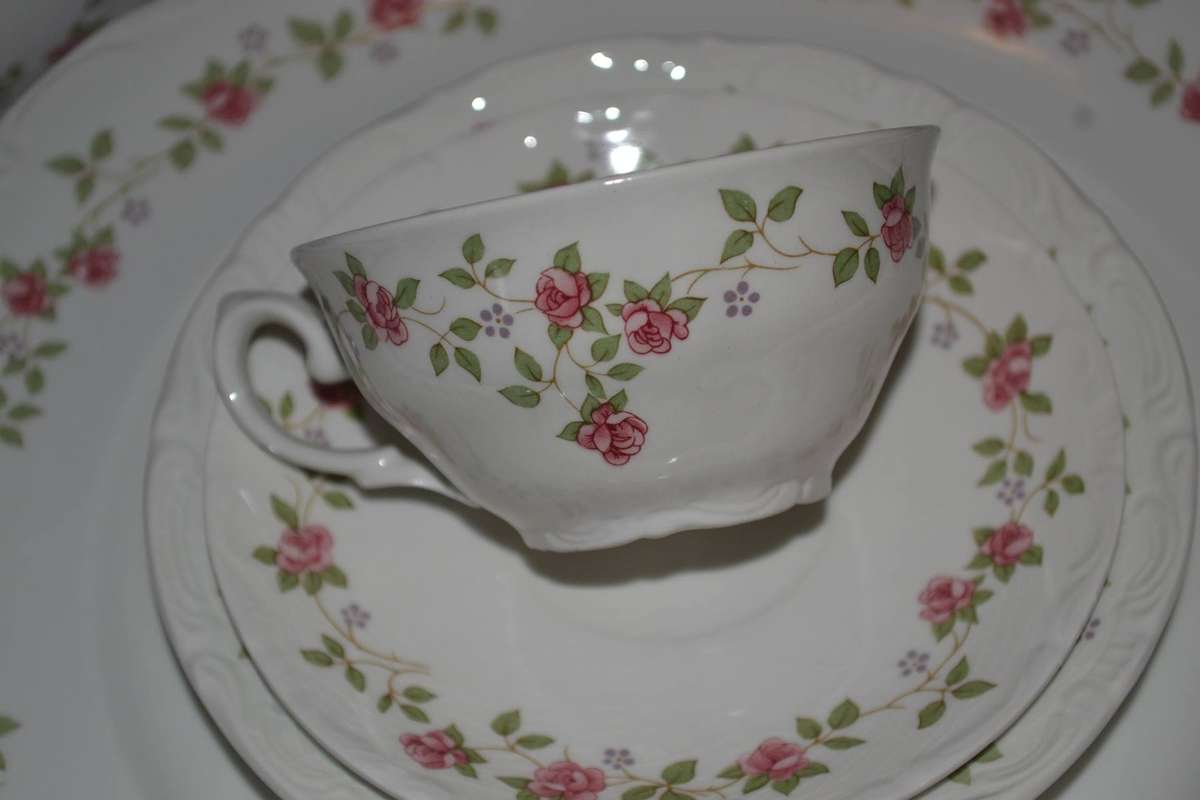 Pontessa Ironstone Spain - Part Dinner Service  49 Pieces 1970s